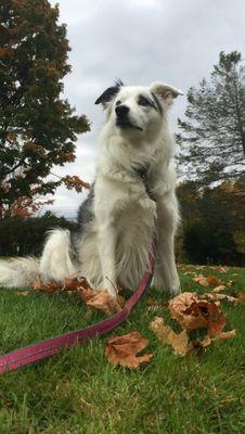 gf2066's profile picture. Project management consultant, Boy Scout leader, father of twin college graduates