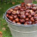 Nancy Helmick - @nancylarsen72 - Twitter