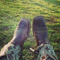 Southern Rebel (@miss_rebel_bell) Twitter profile photo