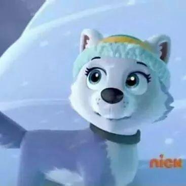 the real Everest . Hi I'm Everest daughter of @_kaltag_ my big brother @kodiak_sleddog i have a huge crush on chase #single i know anymore