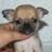 jywawakepuxi's profile image
