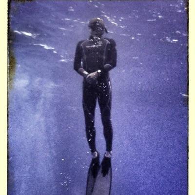 F3Fipper's profile picture. 