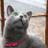 nastya9642's profile image