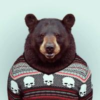 Александр Головков (@golovkov56) 's Twitter Profile