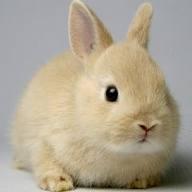女子力アップ関連や面白いと思ったNAVERまとめをつぶやいています。相互フォロー大歓迎♪