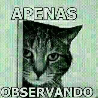 ame quem te odeia, e perdoe quem te ofende