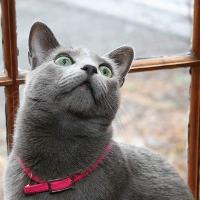 Наталия (@nataly11131) 's Twitter Profile Photo