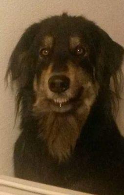 cre5280's profile picture. 