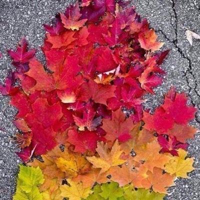 jenhamilton95's profile picture. 