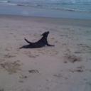 Joan Hallman - @joanhallman - Twitter