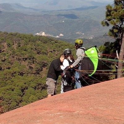 mauricioflyala's profile picture. 