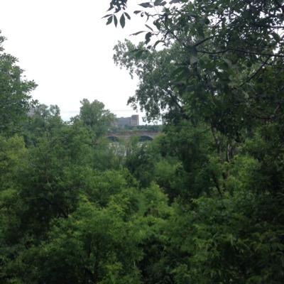 fragilepoets's profile picture. 