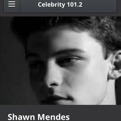 celebrity 101.2 is a website that picks a celebrity of the week each week and people can write comments about it and sign up this week is Shawn Mendes website⬇️