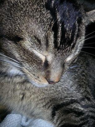 TangledWebsOfMe's profile picture. Quintessential Millennial girl lost searching for the correct path in life--but not before first trying all the wrong ones along the way.