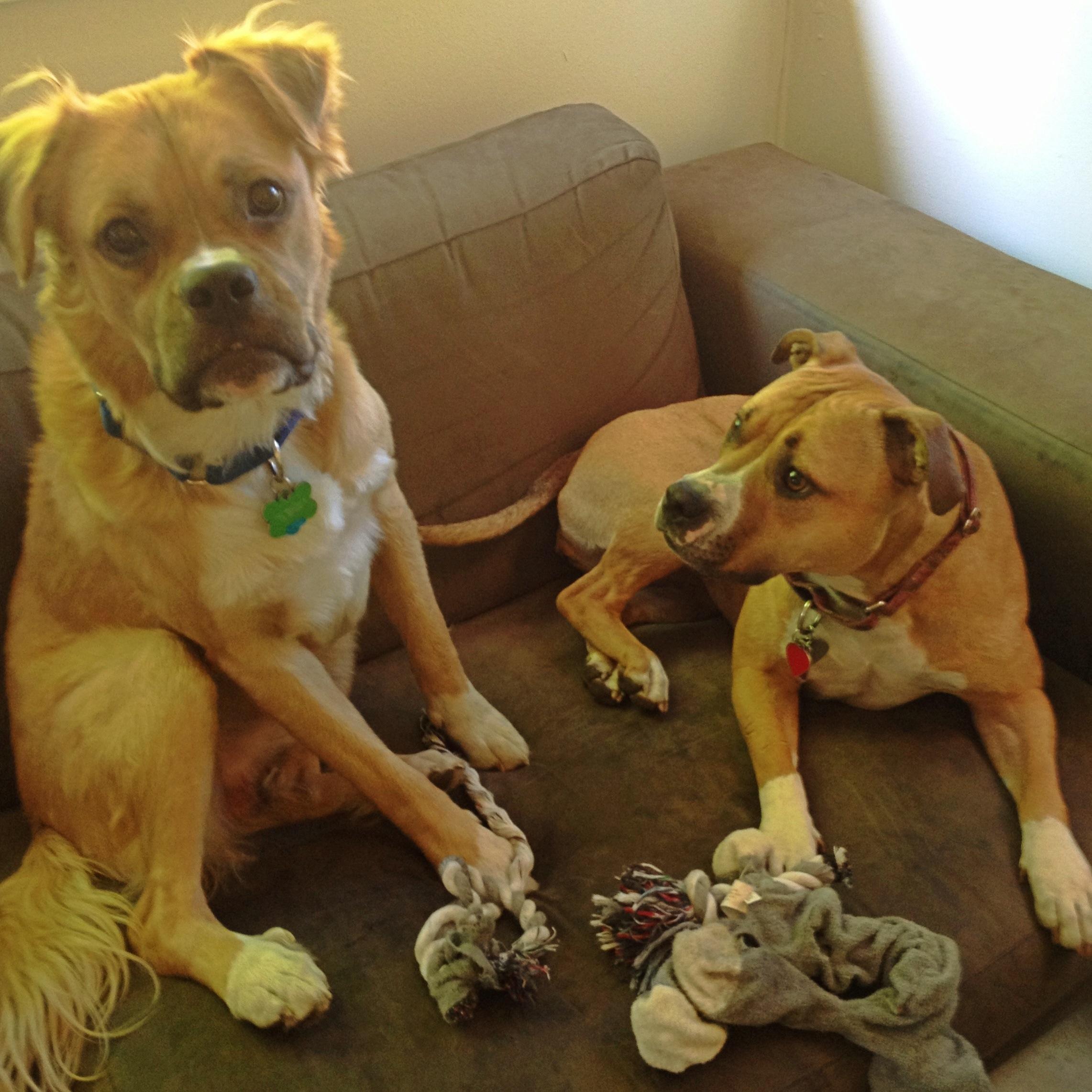 lisazwagerman's profile picture. 