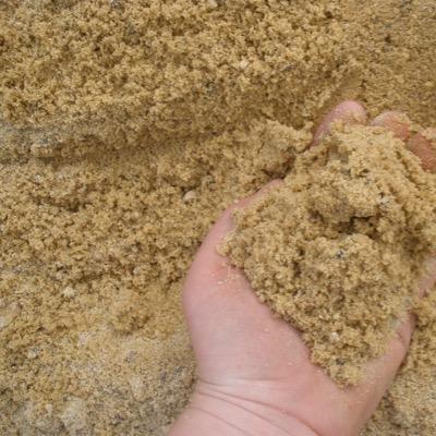 iLSandDaily's profile picture. 