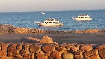 filipoksr's profile picture. 