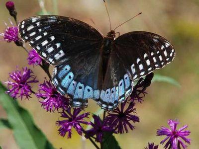 EspiYesenia's profile picture. 