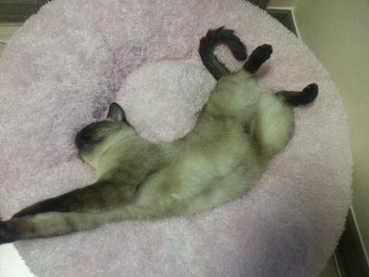 Tukinon931's profile picture. 27/ 연구원/ 뮤지컬,영화가 취미/ 여행을 좋아합니다/ 겨울이 되니 스노우보드를....