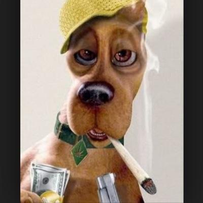 yaboyhigh69's profile picture. Smoke some weed and chill cause ya boy high