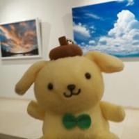 TAKAKO.M (@takakopurin) 's Twitter Profile