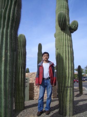 Graphics Software Engineer. Video, 3D, Compute, Linux