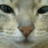 aityaity's profile image