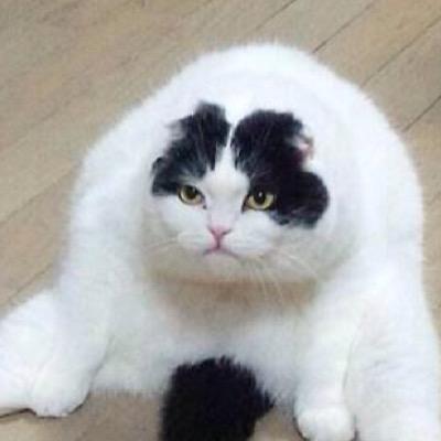 The_Jemima's profile picture. L�Anti-gone de la nouille ..