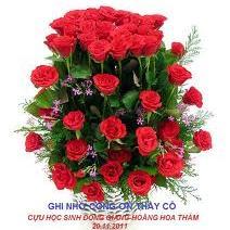 hong_lanh's profile picture. 