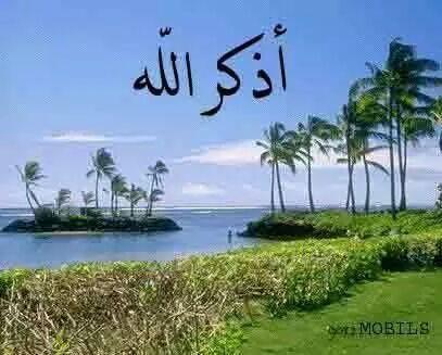 noornooor288's profile picture. 