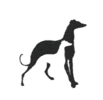 Fusspott's profile picture. 