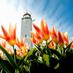 Noordwijk (@noordwijk_zh) Twitter profile photo