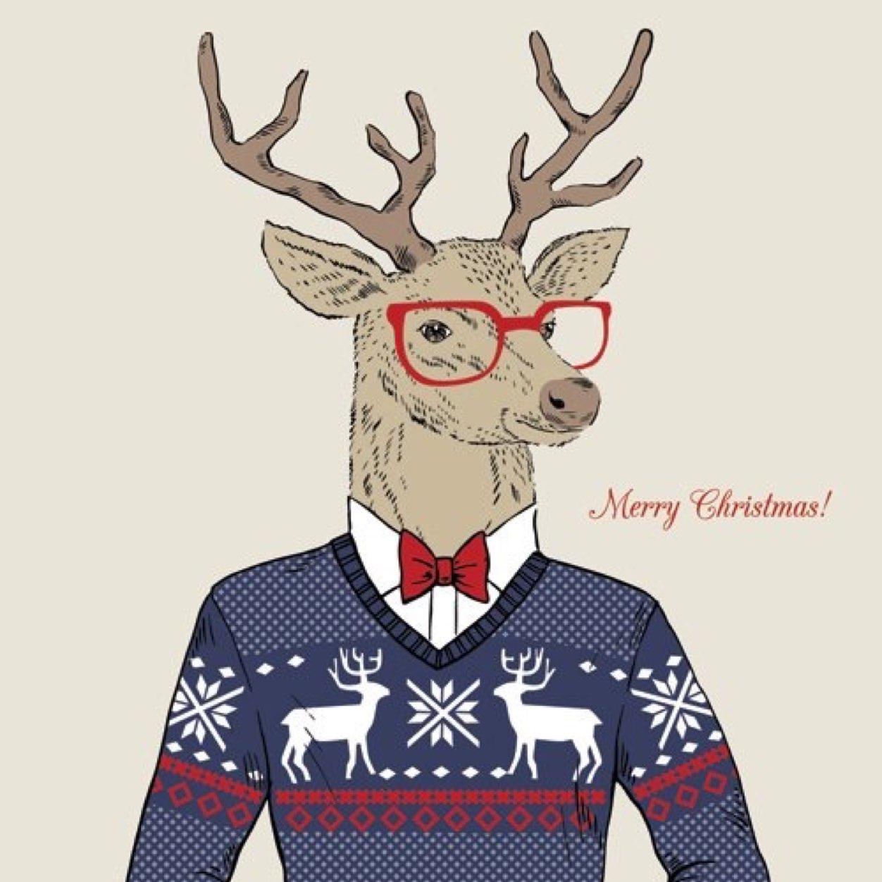 twiterfol's profile picture. 