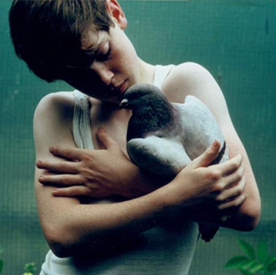 Haggard.
Boy With Dove, Will McBride