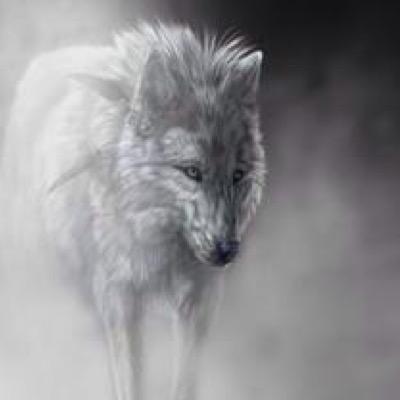 [Ariana's spirit is 45] I'm Ariana part of Death pack I'm a spirit I'm in the mists I no longer hurt wolves for fun. And I think things have changed