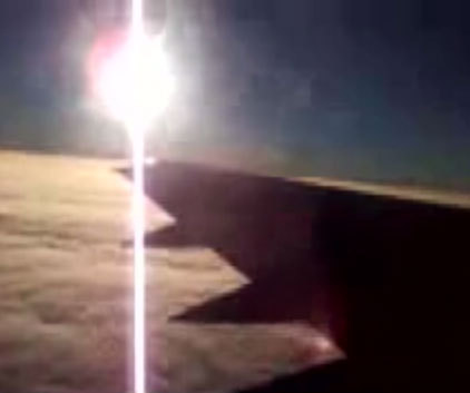 brelons's profile picture. brelons is notorious for its plumage, which turns a lurid shade of green in the winter. It can detect a rival at a range of 50 miles.