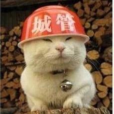 ice_wyb's profile picture. Doctor of Cryptology, Tsinghua University.