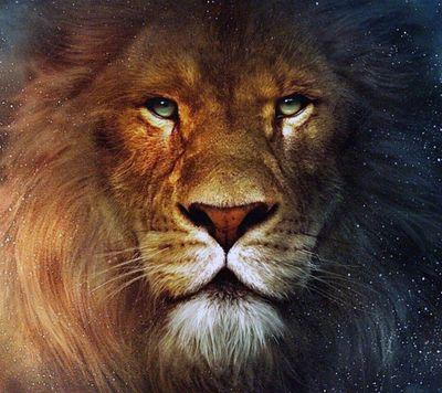 LaVinDr1's profile picture. i love diya ravichandran.......she is my love