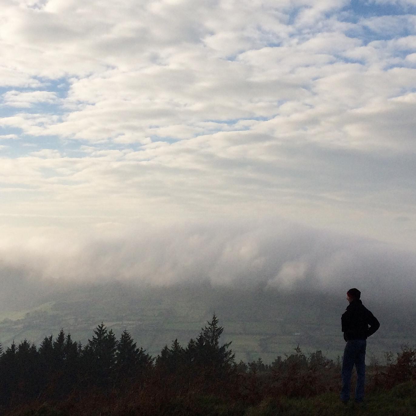 niallhugh1's profile picture. 