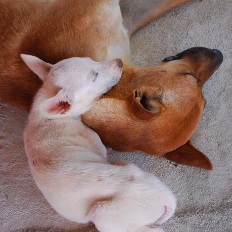 eosart3's profile picture. 