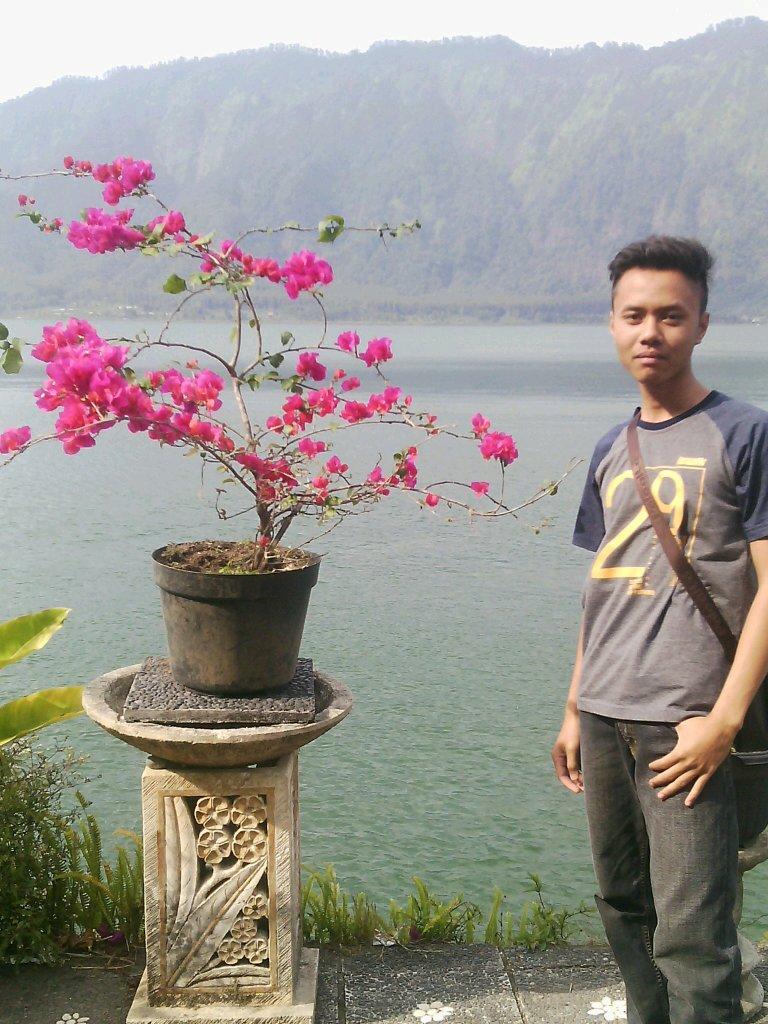 31 Desember 2014