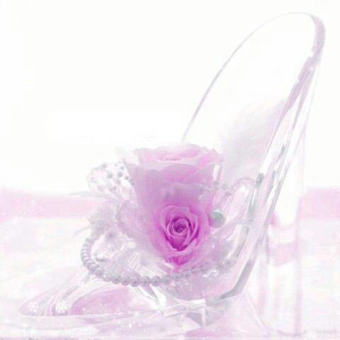 konokutu's profile picture. 青い空の下で拾ったこの靴は誰のもの？