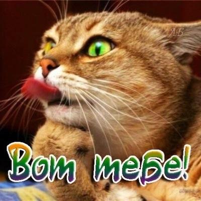 21owJOIOlw0rb79's profile picture. 