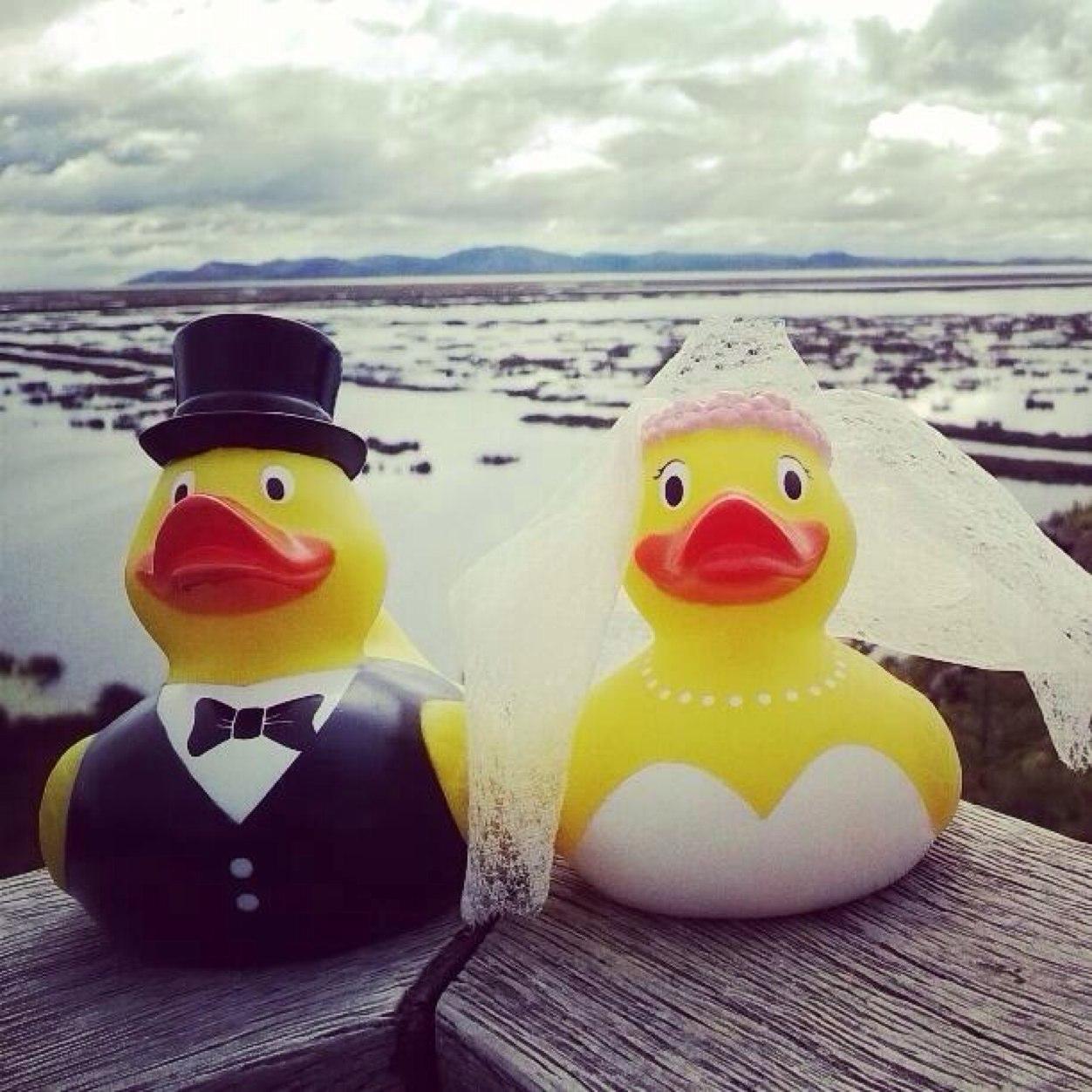 Two little rubber ducks who are honeymooning, blogging, photographing and socialising around the world...