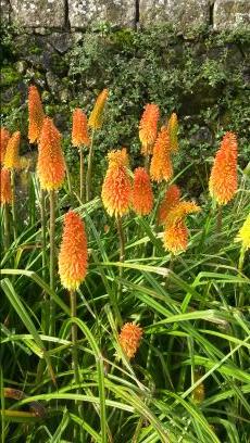 mercadosaloio's profile picture. Mercearia online desde 2012