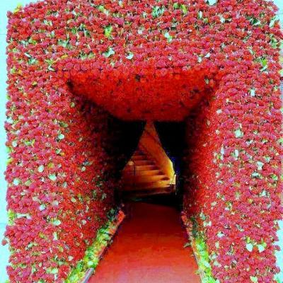 resident_heaven's profile picture. 