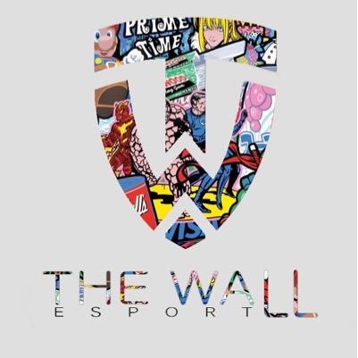 Structure eSportive fondée en 2012.  Contact : TheWall.eSport@outlook.fr