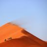 qualiviajero's profile picture. Best travel links arround the world