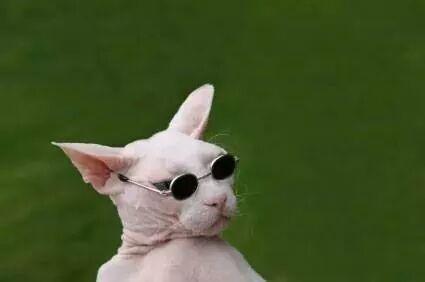 savemebatman's profile picture. Male, early 30s, seeks quick witted, shadowy, cowled figure for friendship and more.