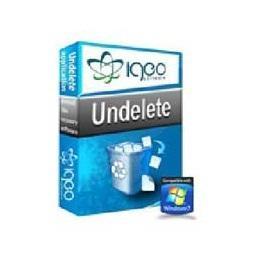 Igeo Software Systems Pvt. Ltd. offers professional data recovery software online.